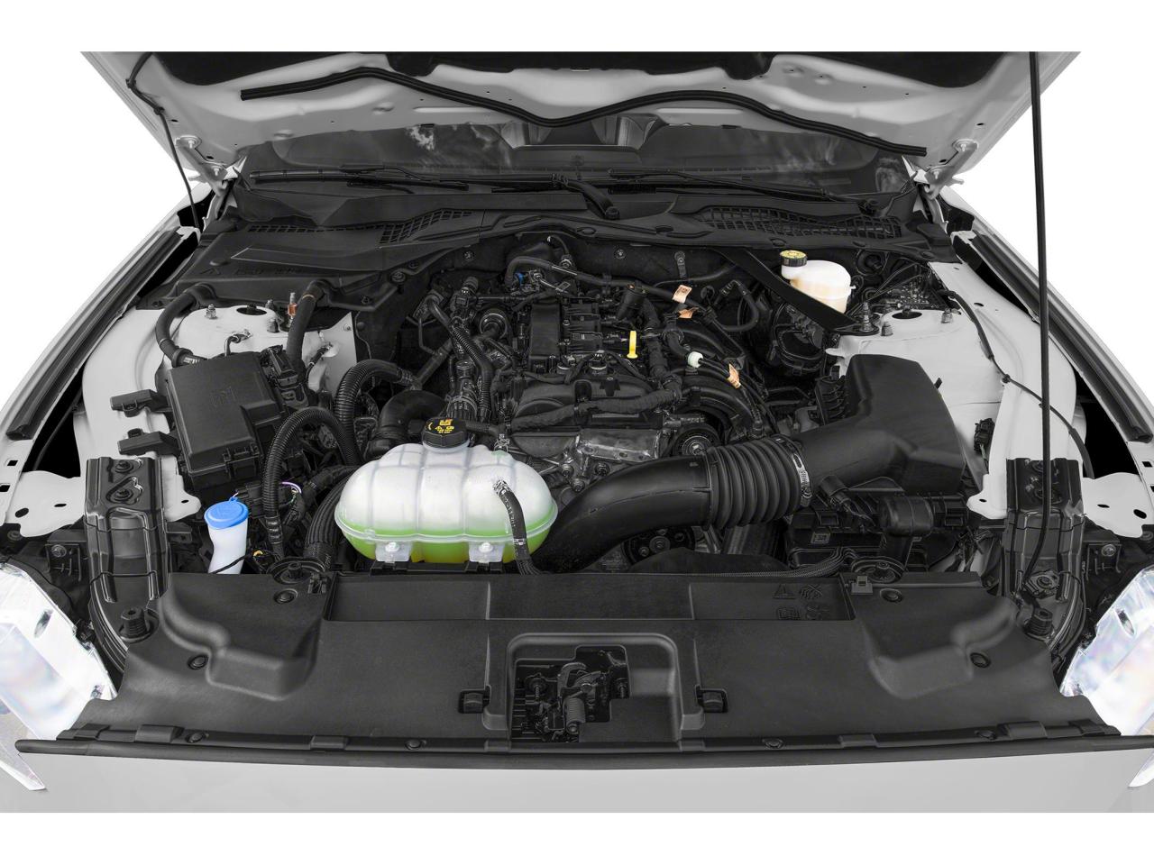 2022 Ford Mustang EcoBoost Premium Photo