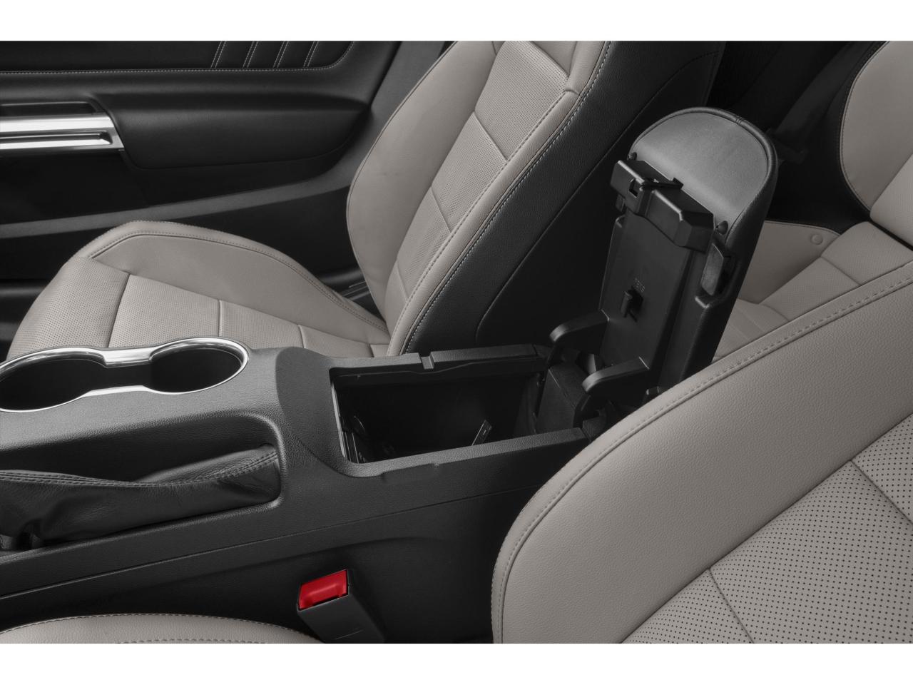 2022 Ford Mustang EcoBoost Premium Photo