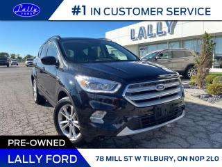 Used 2019 Ford Escape SEL, Leather, AWD, One Owner! for sale in Tilbury, ON