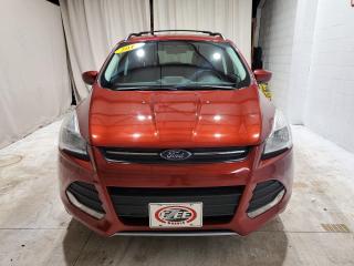 Used 2014 Ford Escape SE for sale in Windsor, ON
