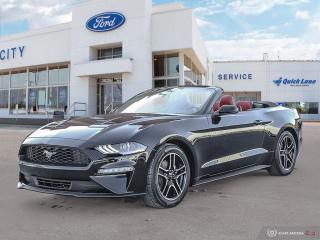 New 2022 Ford Mustang EcoBoost Premium for sale in Winnipeg, MB