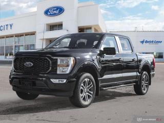 New 2022 Ford F-150 XL for sale in Winnipeg, MB