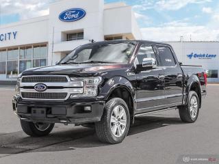 Used 2019 Ford F-150 PLATINUM for sale in Winnipeg, MB