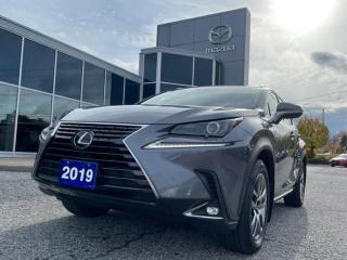 Used 2019 Lexus NX 300 NX 300 Auto for sale in Ottawa, ON