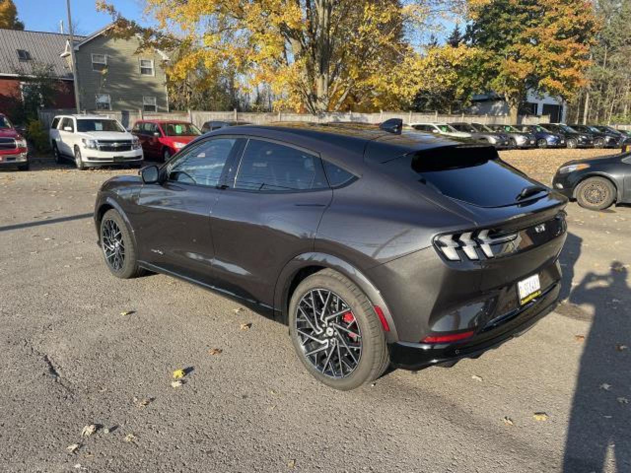 2022 Ford Mustang Mach-E GT Photo