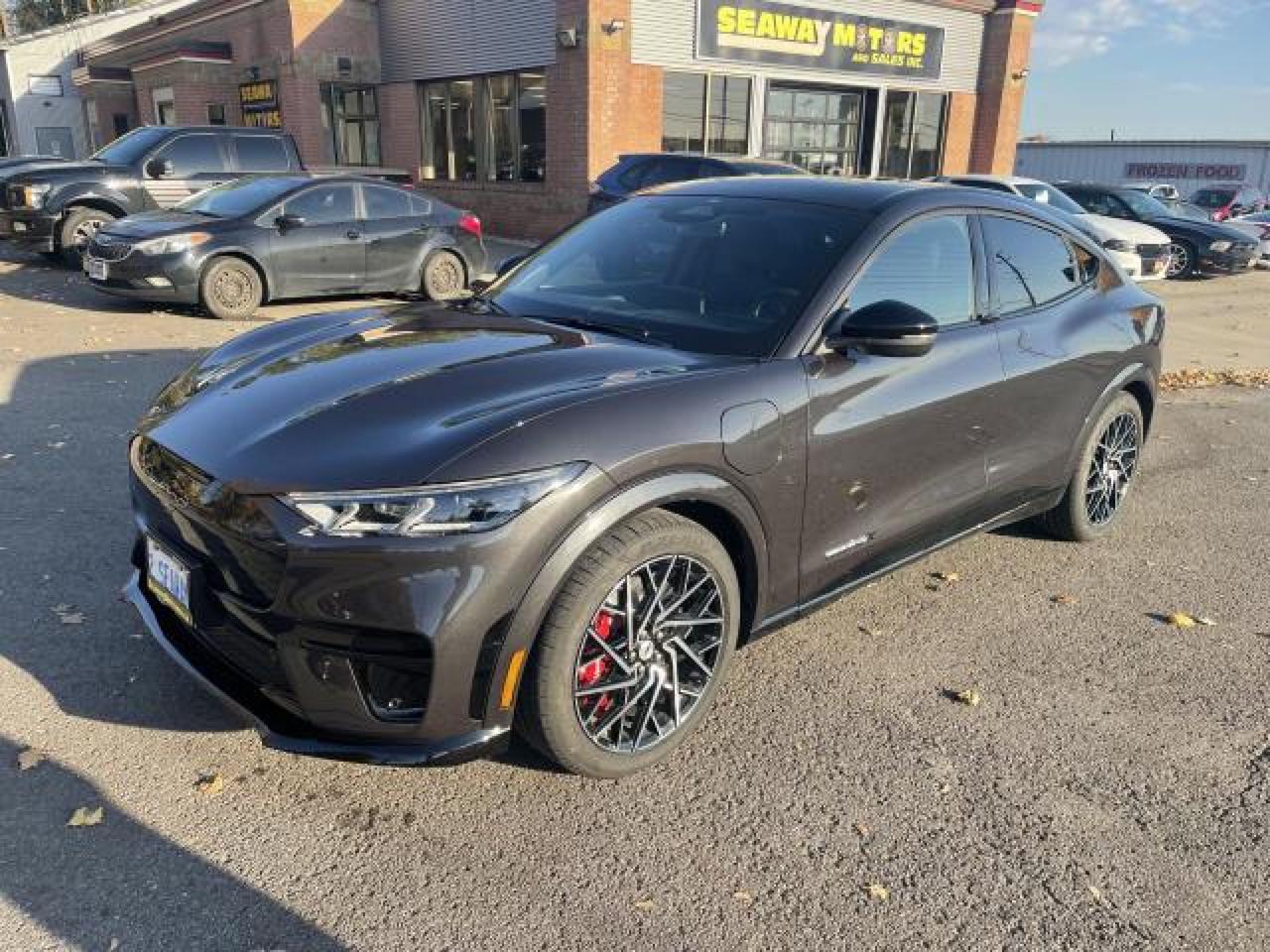 2022 Ford Mustang Mach-E GT Photo