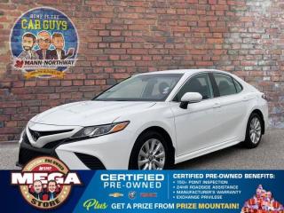 Used 2019 Toyota Camry LE - Heated Bucket Seats, Keyless Entry, Back Up Camera for sale in Saskatoon, SK