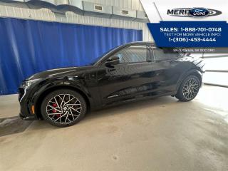 New 2022 Ford Mustang Mach-E GT Performance Edition for sale in Carlyle, SK