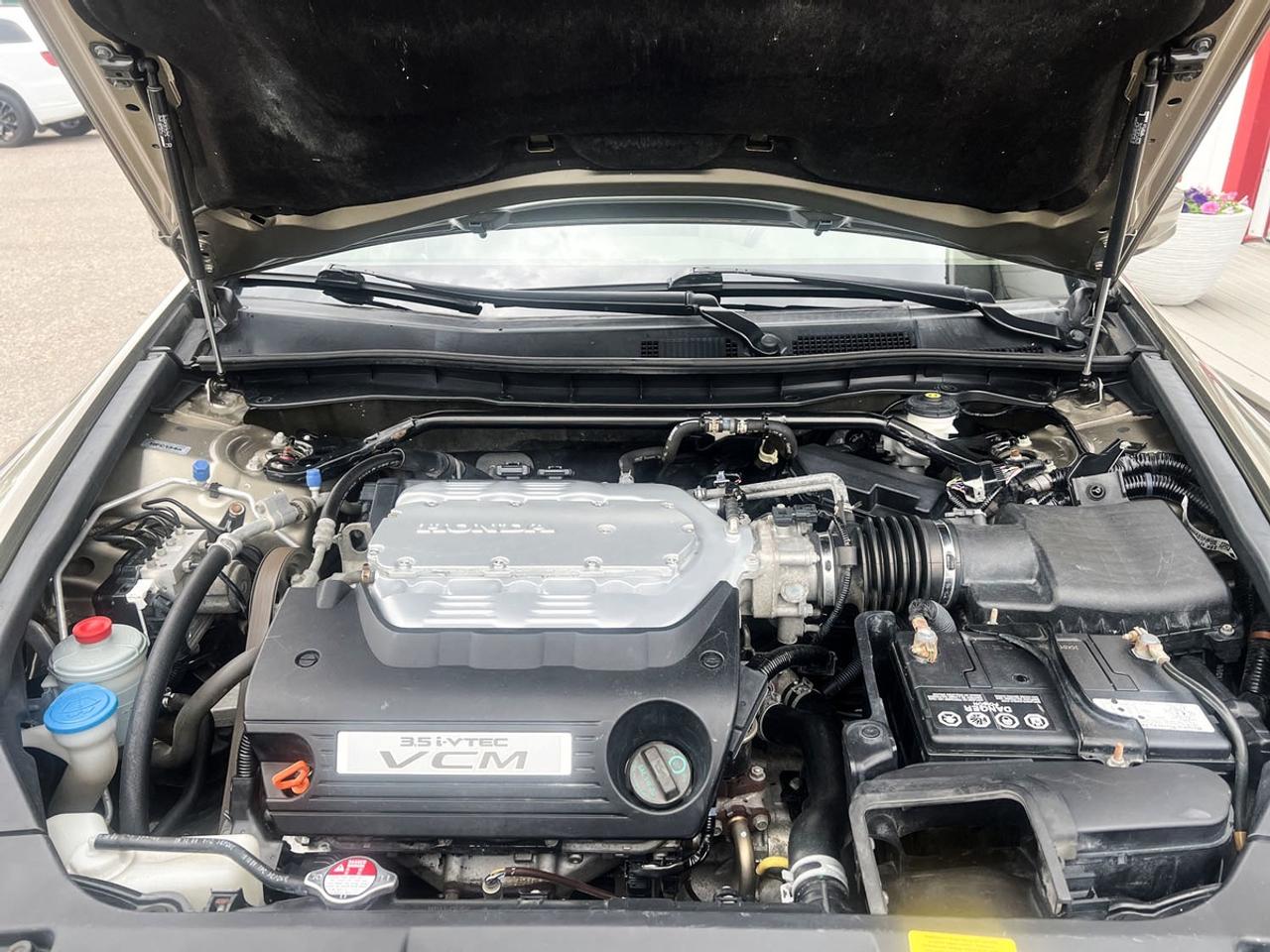 9238294