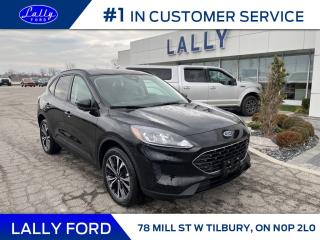 New 2022 Ford Escape SE for sale in Tilbury, ON