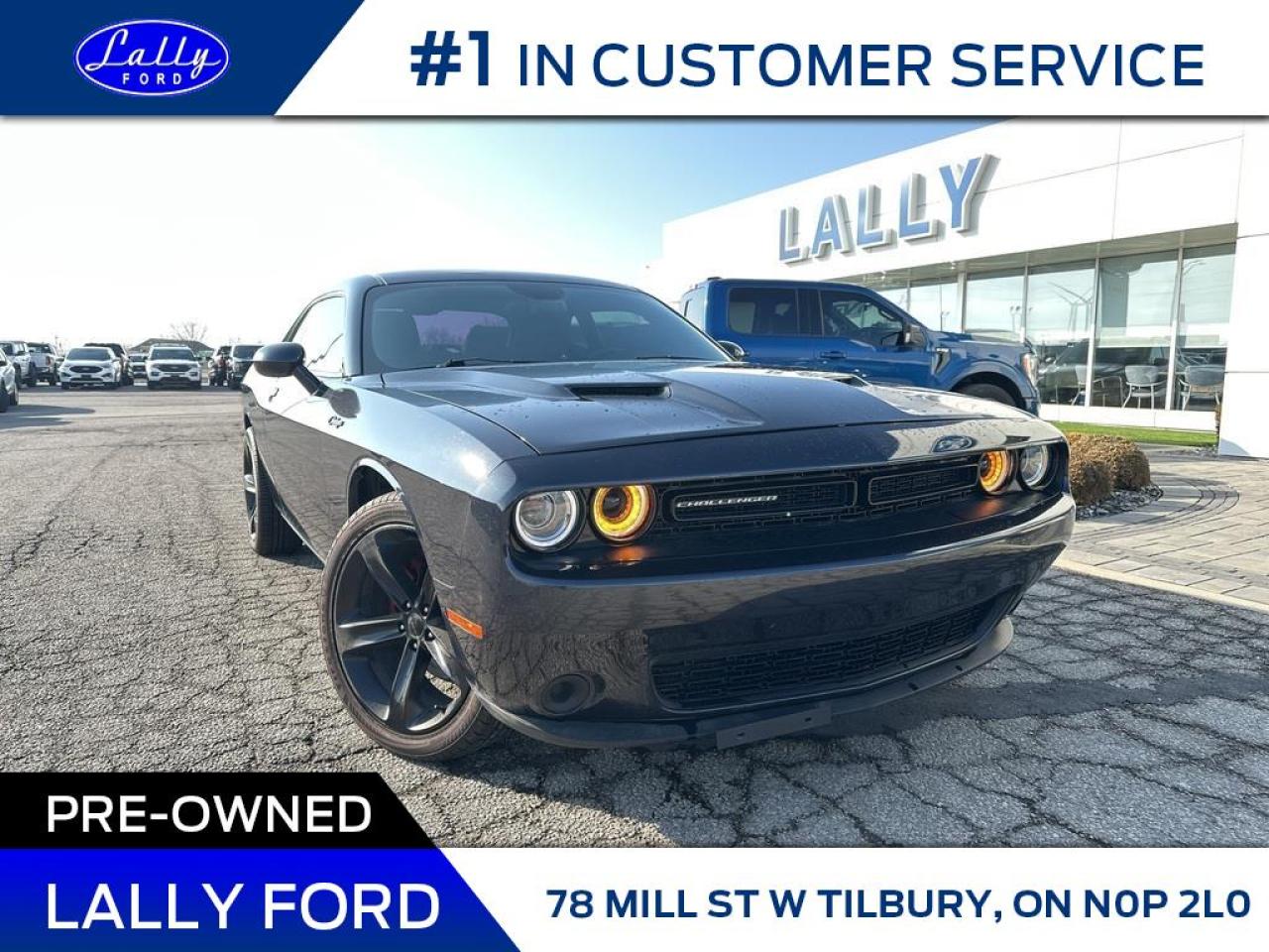 Used 2016 Dodge Challenger SXT, Local Trade, Mint! for sale in Tilbury, ON