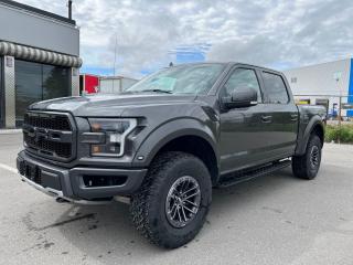 Used 2020 Ford F-150 RAPTOR SUNROOF LEATHER GPS for sale in North York, ON