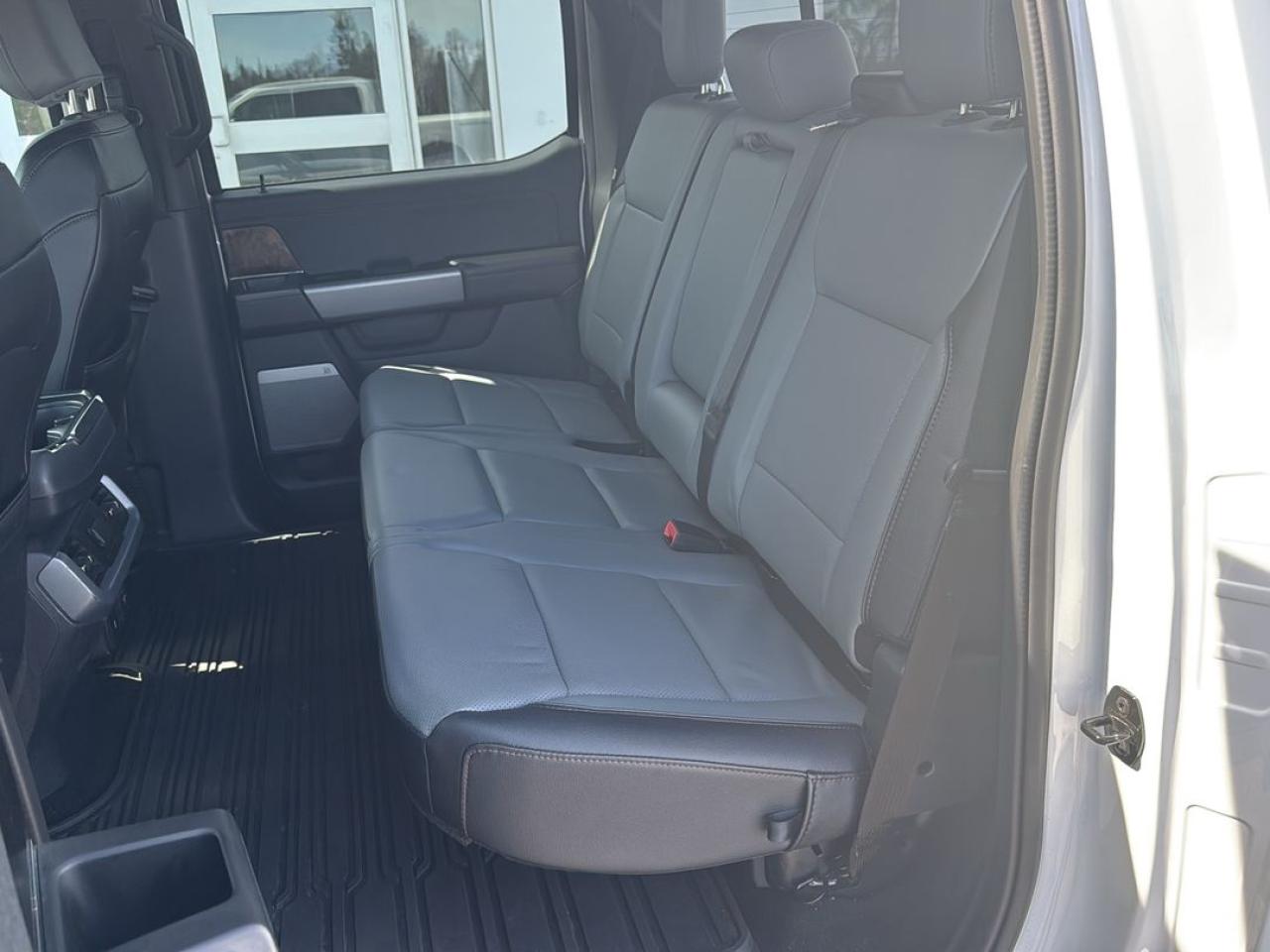 2023 Ford F-150 Lightning Lariat Photo