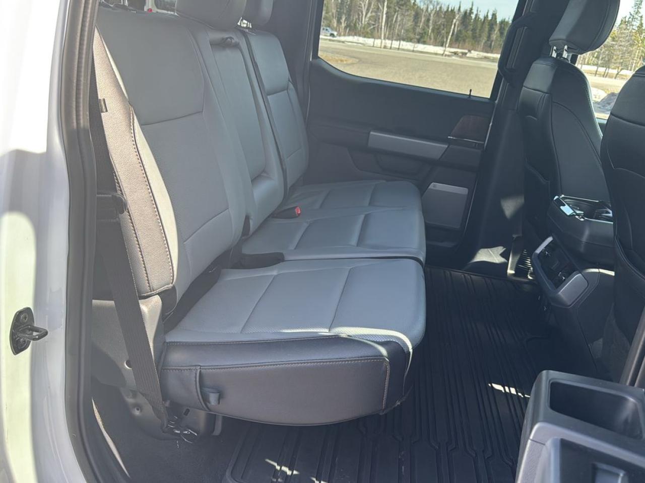 2023 Ford F-150 Lightning Lariat Photo