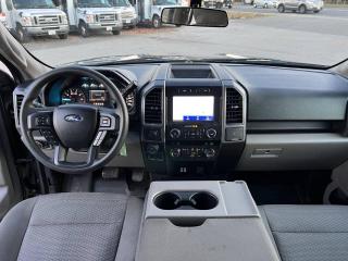 2020 Ford F-150 XLT 4WD SUPERCREW 5.5' BOX - Photo #15