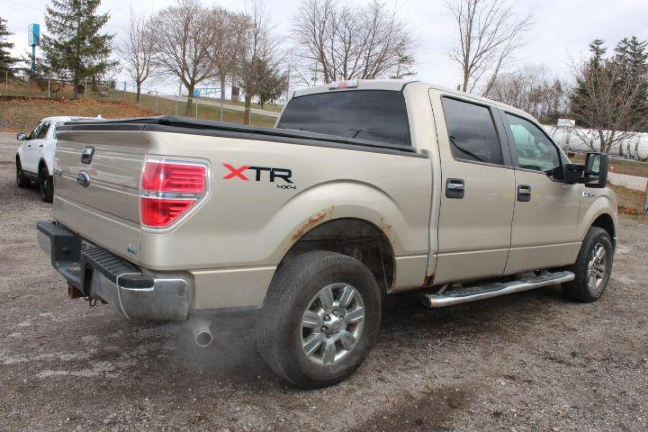 2010 Ford F-150  Photo2