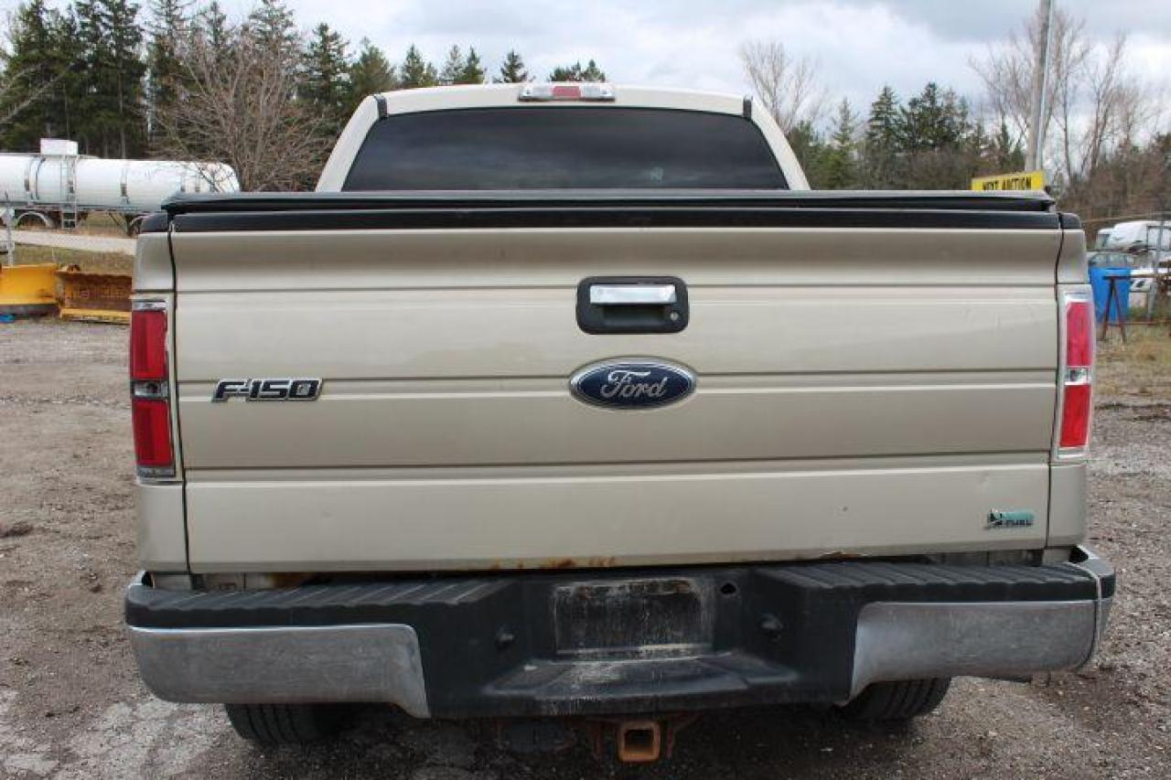 2010 Ford F-150  Photo3