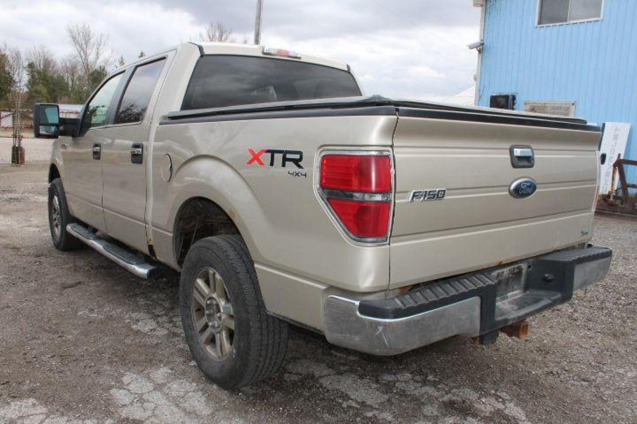 2010 Ford F-150  Photo4