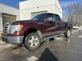 Used 2010 Ford F-150 4WD SUPERCAB 145