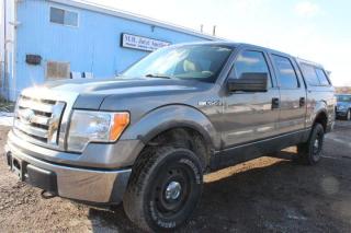 Used 2010 Ford F-150  for sale in Breslau, ON