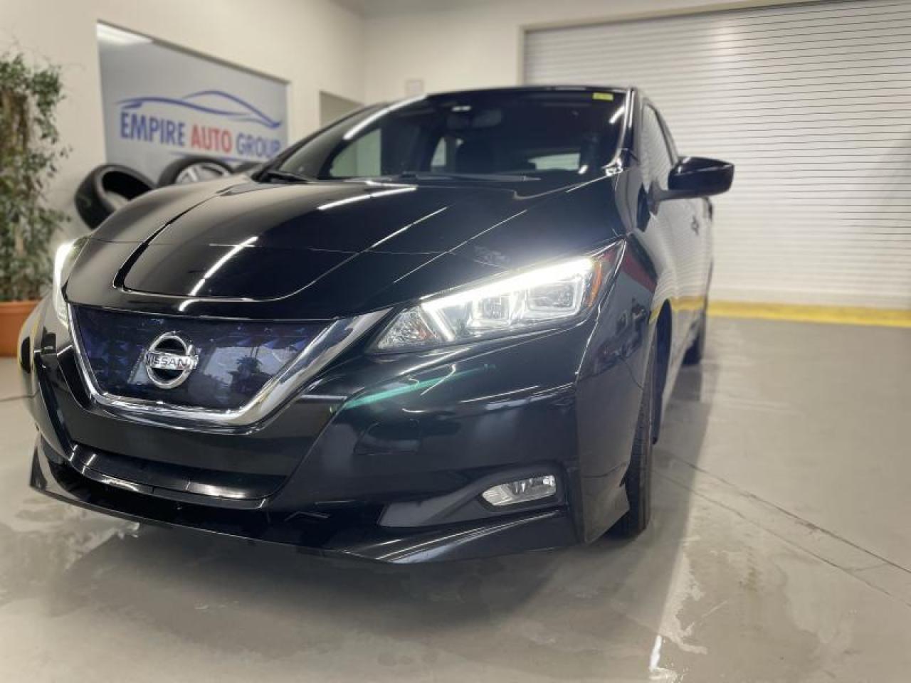 Used 2019 Nissan Leaf SV for sale in London, ON