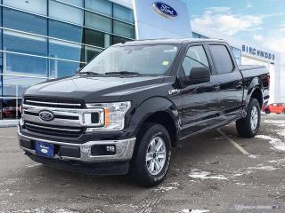 Used 2019 Ford F-150 XLT 4.99% Available | Accident Free for sale in Winnipeg, MB