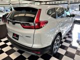 2019 Honda CR-V EX AWD+Roof+Lane Keep+Adaptive Cruise+CLEAN CARFAX Photo67