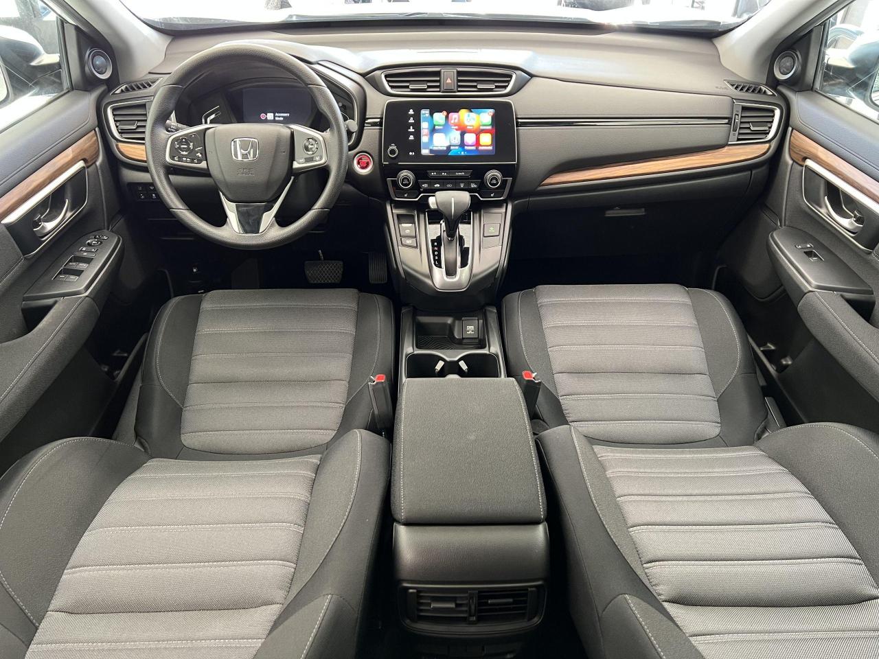 2019 Honda CR-V EX AWD+Roof+Lane Keep+Adaptive Cruise+CLEAN CARFAX - Photo #8
