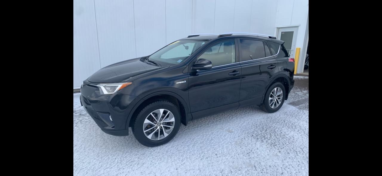 2016 Toyota RAV4 XLE Photo23