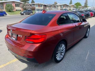 2018 BMW 2-Series 230i xDrive Coupe M-Sport - Photo #6