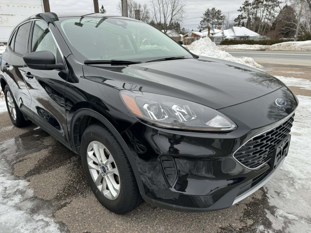 2022 Ford Escape SE Photo