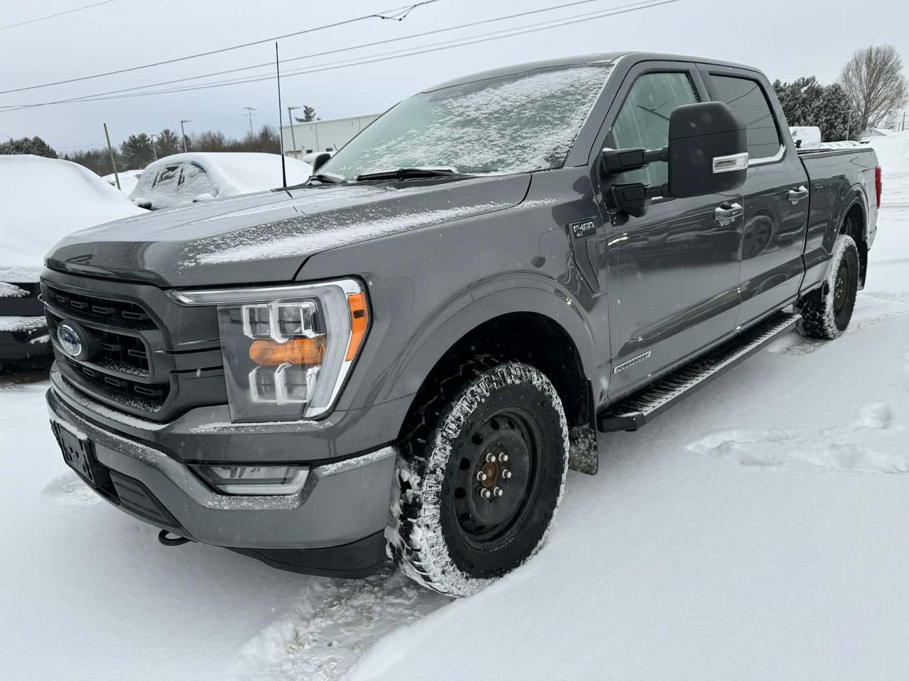 2023 Ford F-150 XLT Photo0