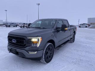 New 2023 Ford F-150 XLT 4WD SUPERCREW 6.5' BOX for sale in Elie, MB