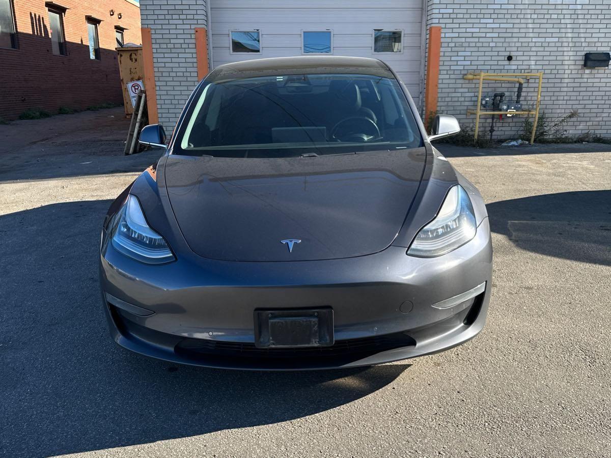 2019 Tesla Model 3 Standard Range - Photo #9