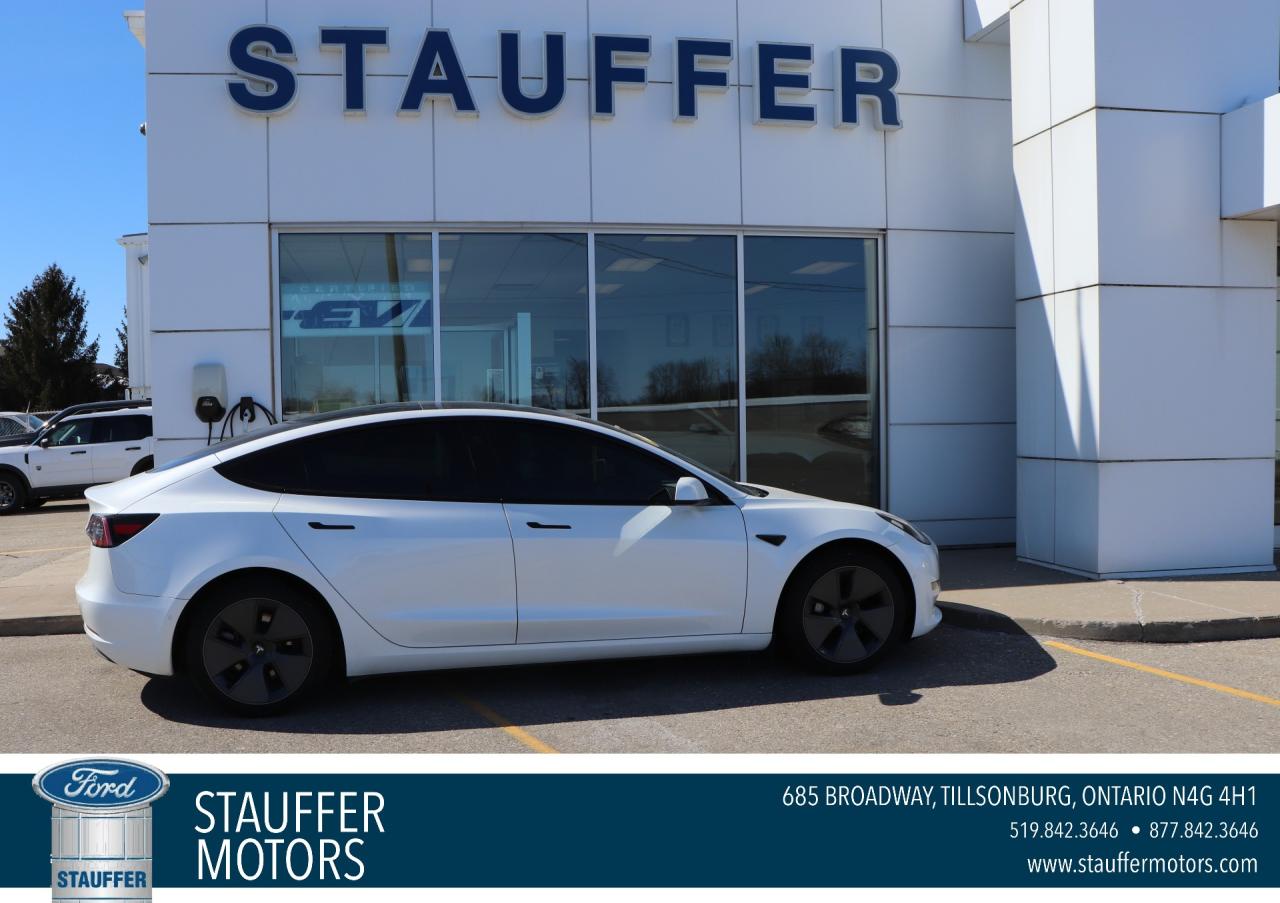 2021 Tesla Model 3 Standard Range Plus RWD