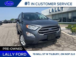 Used 2022 Ford EcoSport SE,4WD, Low Km’s, Moonroof, Nav! for sale in Tilbury, ON