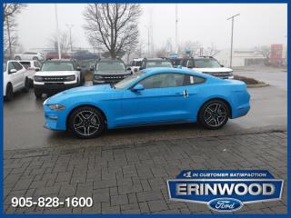New 2022 Ford Mustang EcoBoost for sale in Mississauga, ON