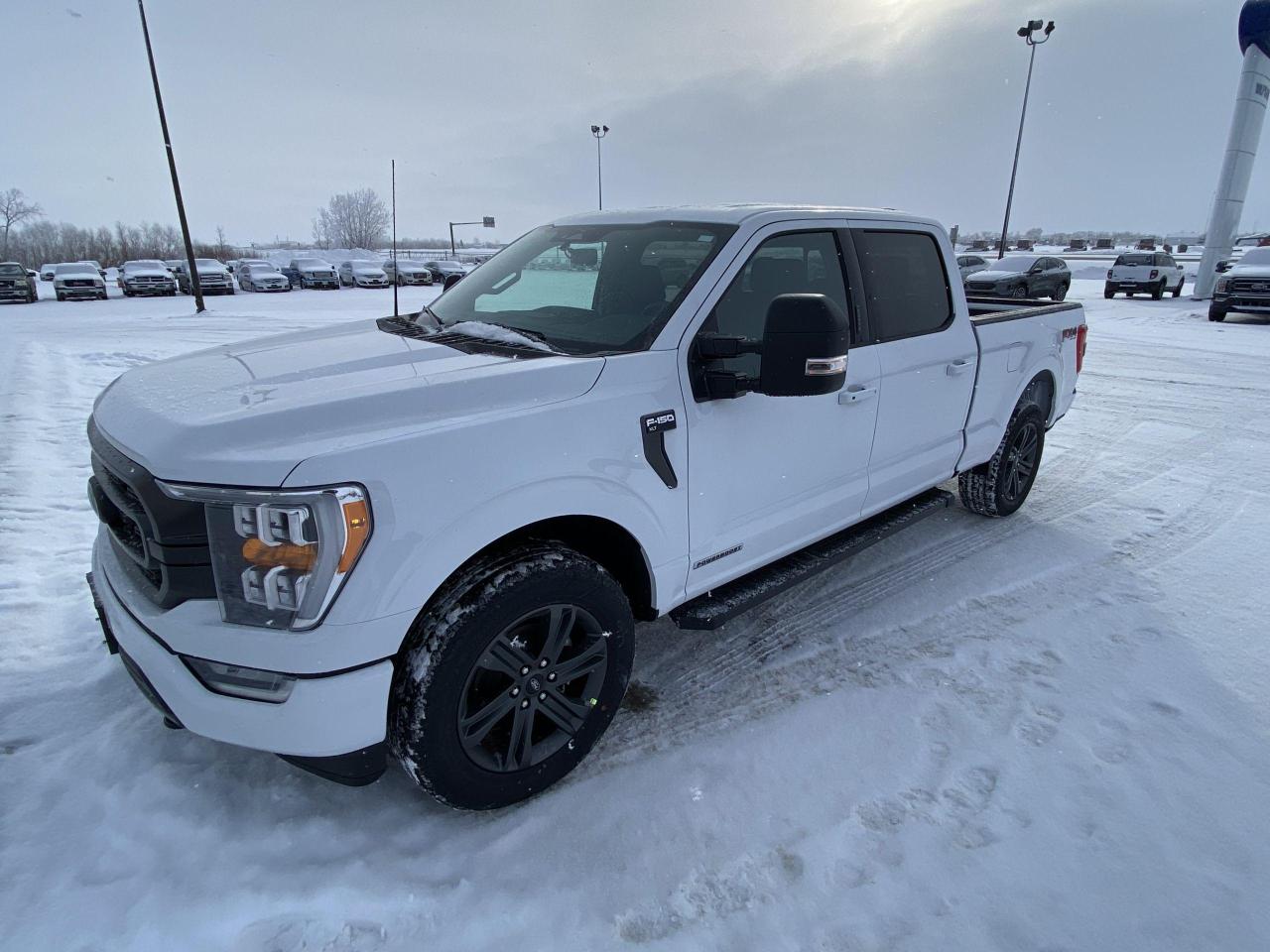 New 2023 Ford F-150 XLT 4WD SUPERCREW 6.5' BOX for sale in Elie, MB