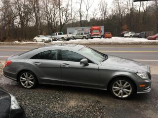 2014 Mercedes-Benz CLS-Class 4DR SDN CLS 550 - Photo #4