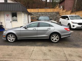 2014 Mercedes-Benz CLS-Class 4DR SDN CLS 550 - Photo #8