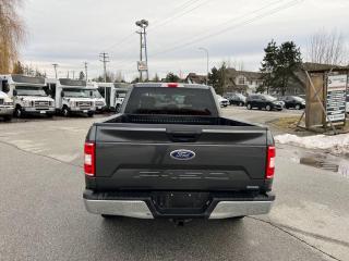 2020 Ford F-150 XLT 4WD SUPERCREW 5.5' BOX - Photo #7