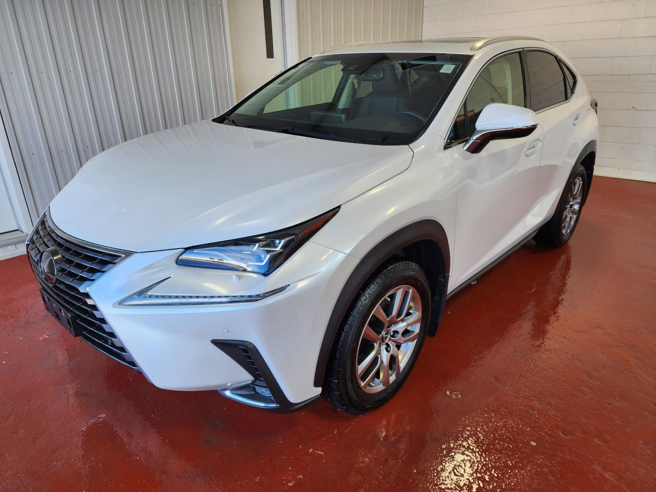 2019 Lexus NX 300 Premium AWD
