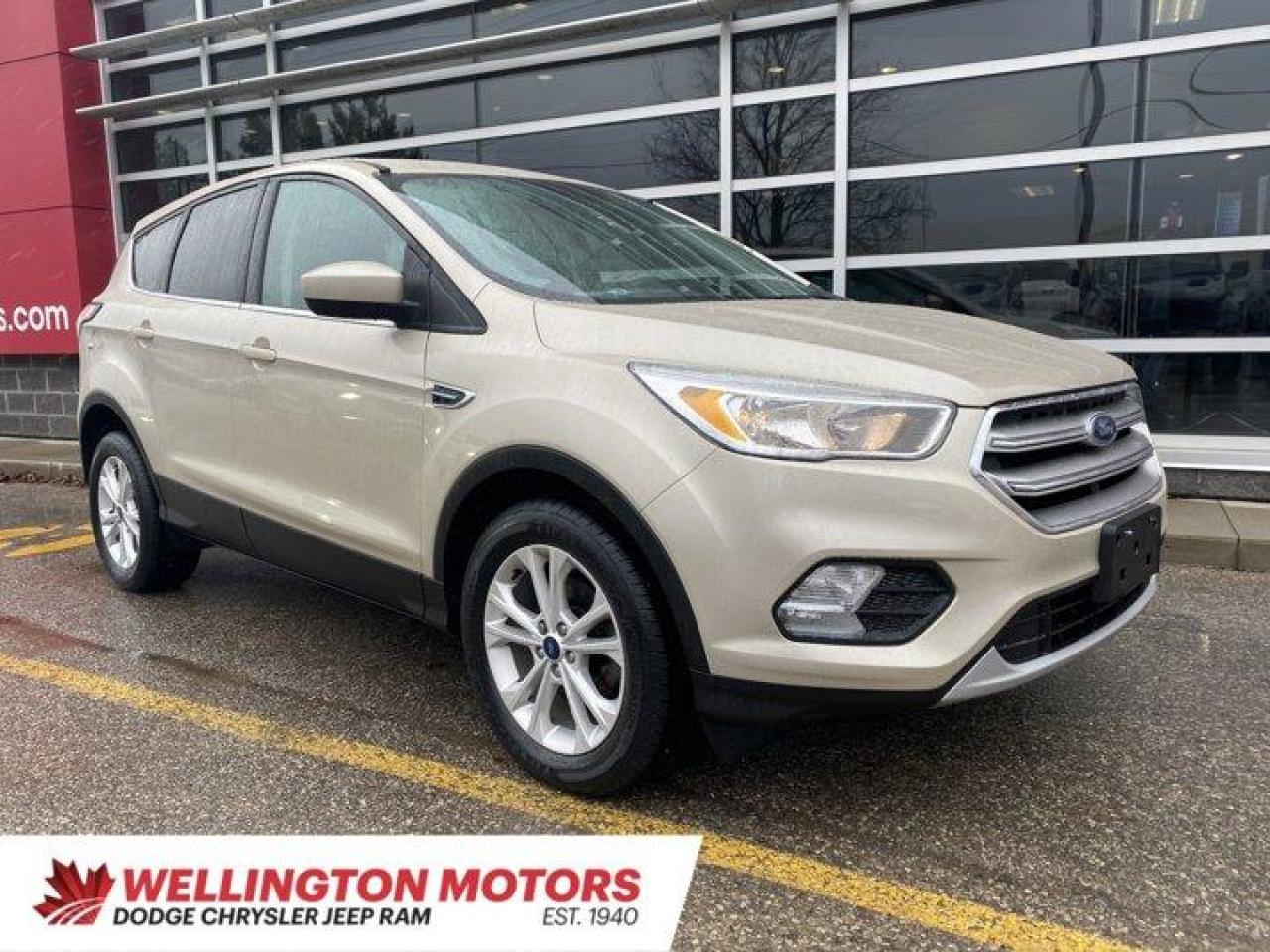 Used 2017 Ford Escape SE| ONE OWNER | CLEAN CARFAX for sale in Guelph, ON