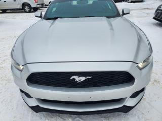 2015 Ford Mustang V6 - Photo #5