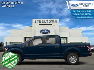 Used 2019 Ford F-150 XLT  - Apple CarPlay -  Android Auto for sale in Selkirk, MB