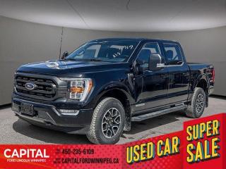 New 2023 Ford F-150 XLT for sale in Winnipeg, MB