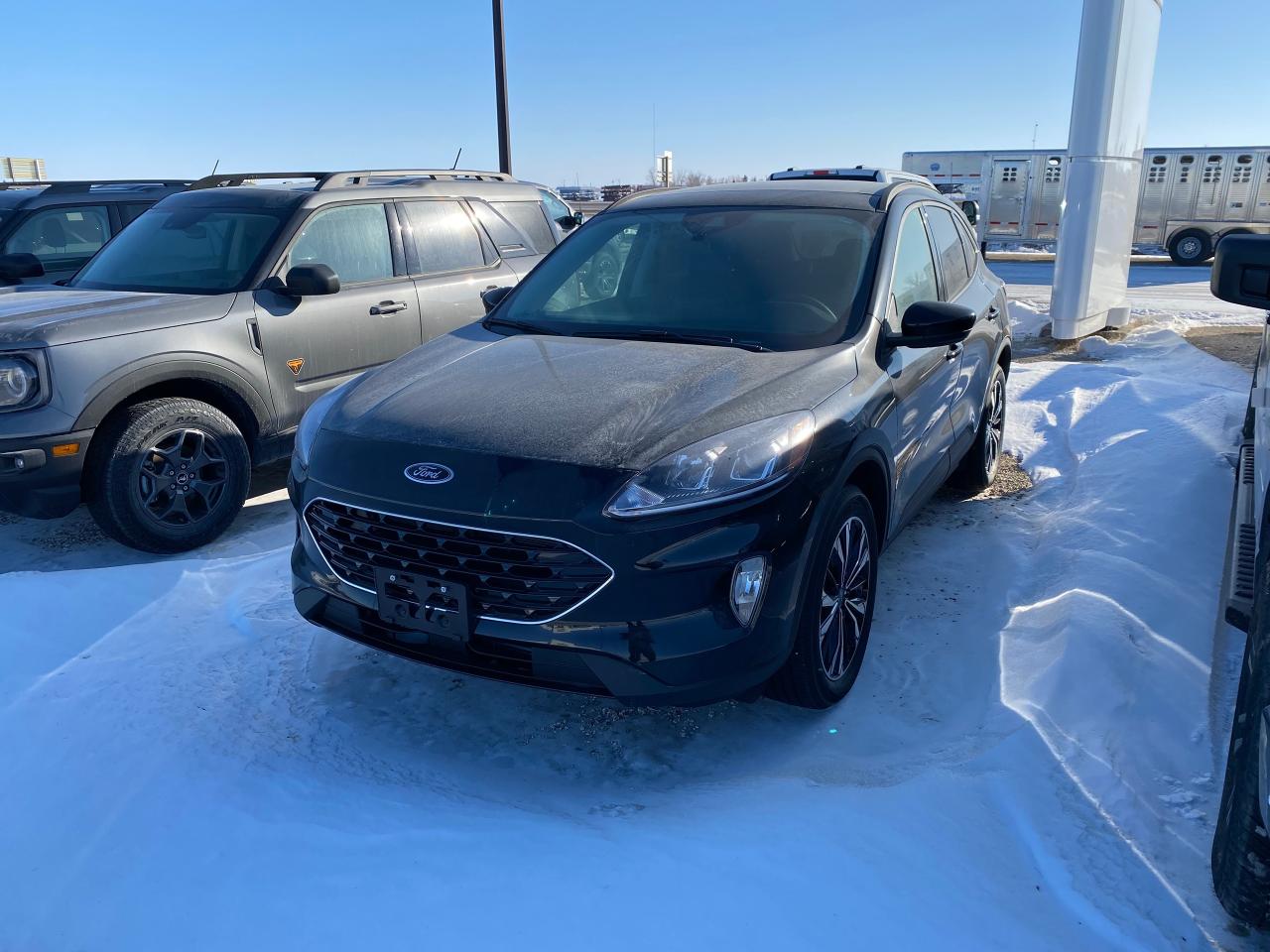2022 Ford Escape SEL AWD