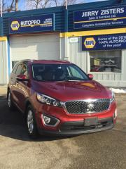 <p><strong><span style=font-family: apple-system, BlinkMacSystemFont, Segoe UI, Roboto, Oxygen-Sans, Ubuntu, Cantarell, Helvetica Neue, sans-serif;>Very Clean!! This beautifully detailed 2017 Kia Sorento </span></strong><strong><span style=font-family: apple-system, BlinkMacSystemFont, Segoe UI, Roboto, Oxygen-Sans, Ubuntu, Cantarell, Helvetica Neue, sans-serif;>is nicely equipped with all of the options below, This vehicle has been professionally inspected from bumper to bumper, is fully certified and ready to drive. All maintenance is up to date on this accident free vehicle which includes two sets of keys and a full tank of fuel. Jerry Zister has been a trusted name for vehicle sales and service in Waterloo Region for the past 53 years</span></strong></p>