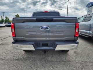 2023 Ford F-150 XLT | 145" | 300A Photo