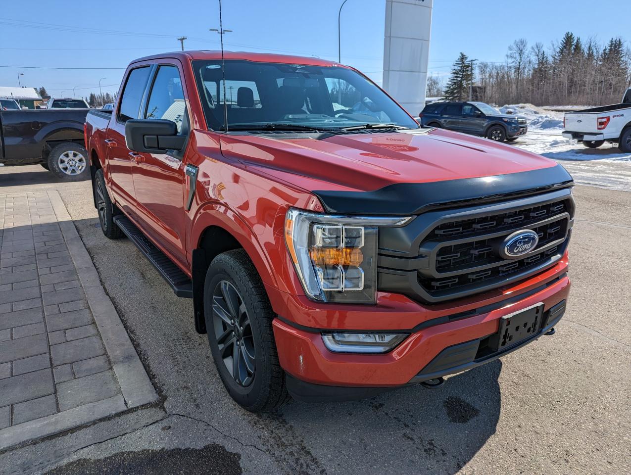 2023 Ford F-150 XLT Photo5